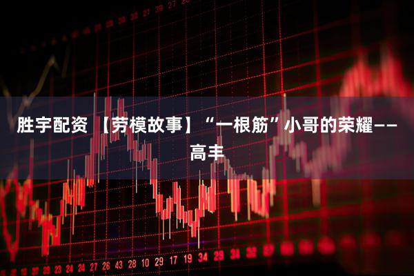 胜宇配资 【劳模故事】“一根筋”小哥的荣耀——高丰