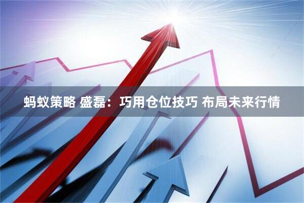 蚂蚁策略 盛磊：巧用仓位技巧 布局未来行情