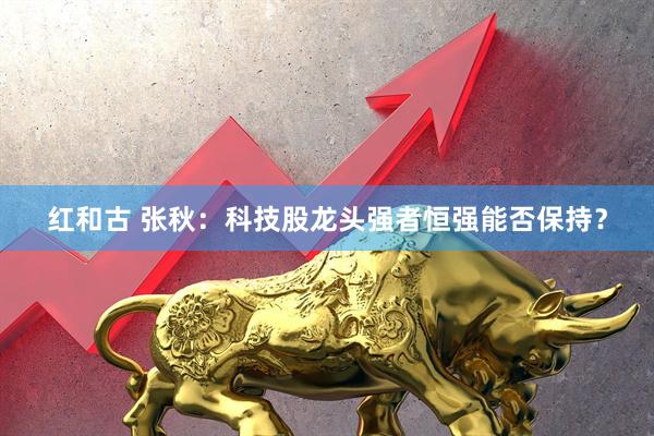 红和古 张秋：科技股龙头强者恒强能否保持？