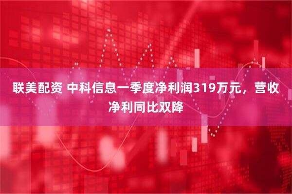 联美配资 中科信息一季度净利润319万元，营收净利同比双降