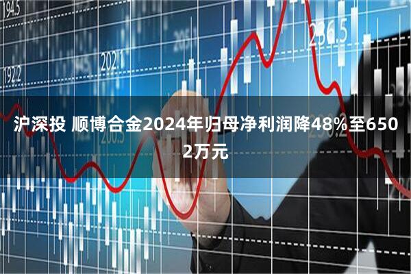 沪深投 顺博合金2024年归母净利润降48%至6502万元