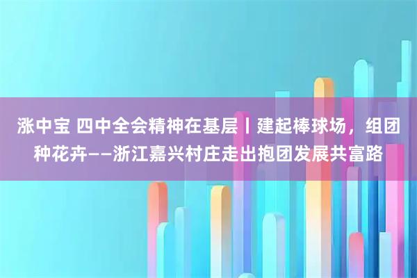 涨中宝 四中全会精神在基层丨建起棒球场，组团种花卉——浙江嘉兴村庄走出抱团发展共富路