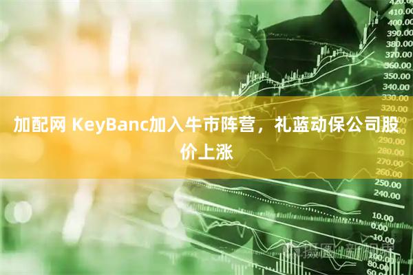 加配网 KeyBanc加入牛市阵营，礼蓝动保公司股价上涨